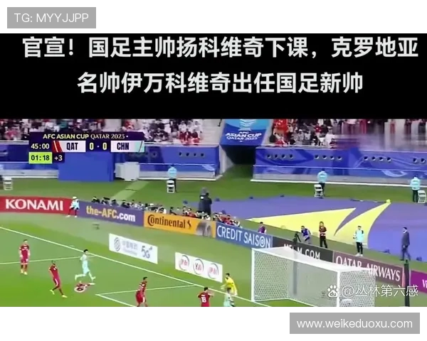 伊万科维奇执教胜率仅高于扬科维奇和李霄鹏 位列近30年国足主帅倒数第三